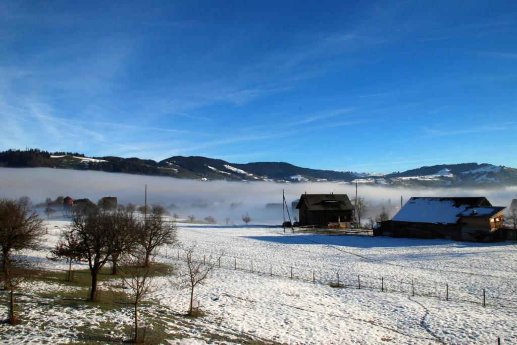 Naturnoech Unterägeri Cameră foto
