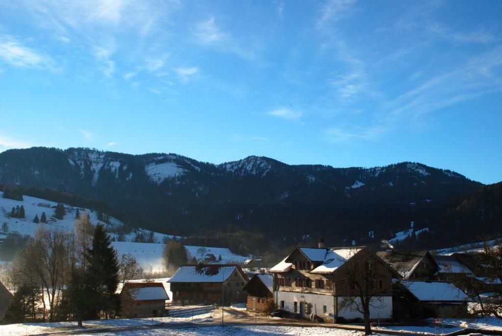 Naturnoech Unterägeri Cameră foto
